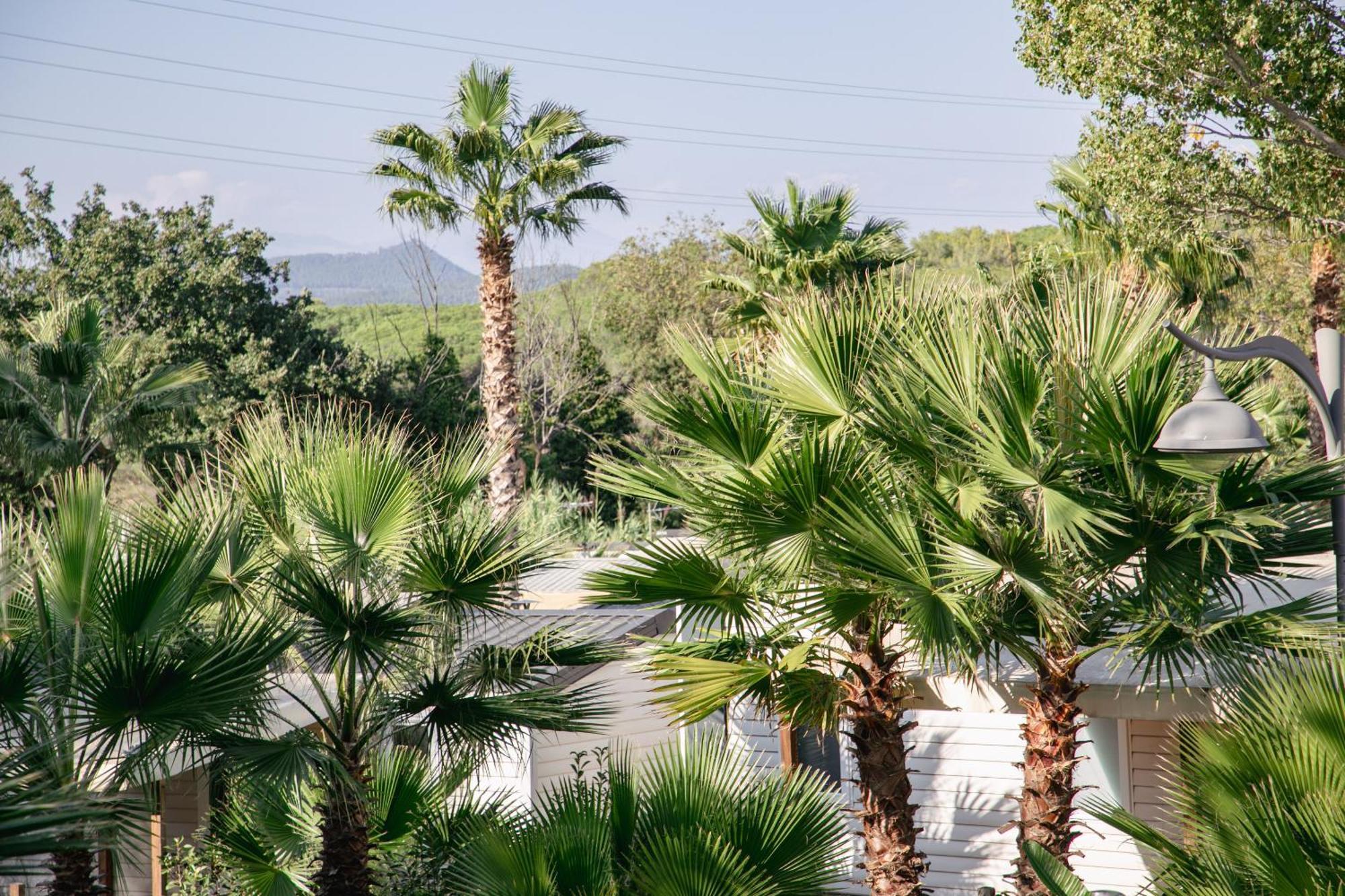 Camping Site De Gorge Vent Fréjus エクステリア 写真